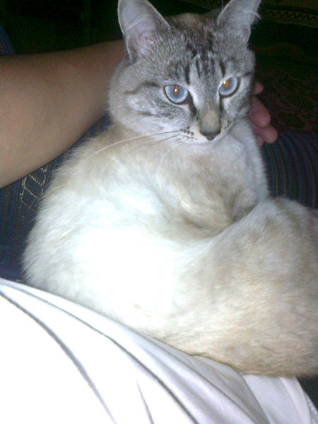 Алексей Павлов