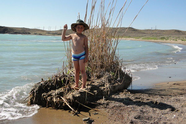 Людмила Ляшенко