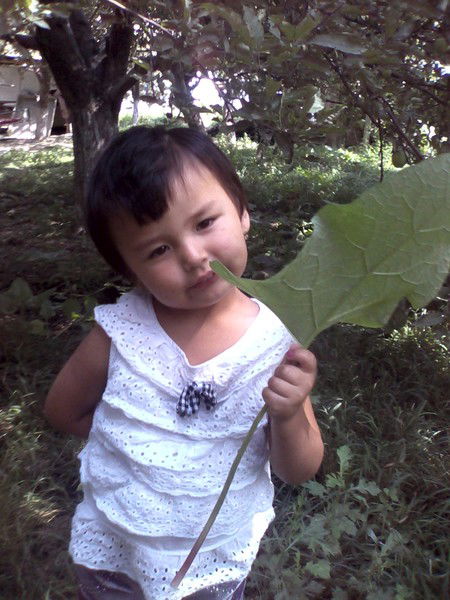 Фари Митаварова