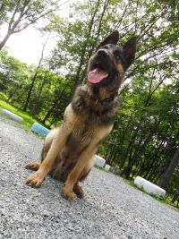 Татьяна Сорокина