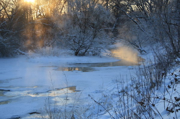 Галина Мишечкина