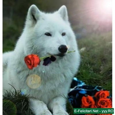 Ильгиз Ханнанов