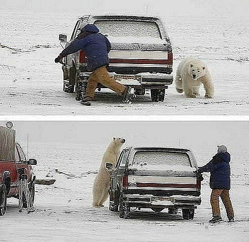 Андрей Листопадов