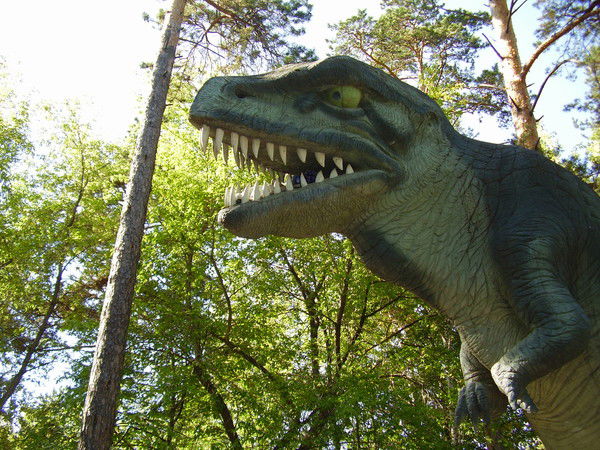 Антропов Алексей