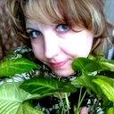 Лена Шилова