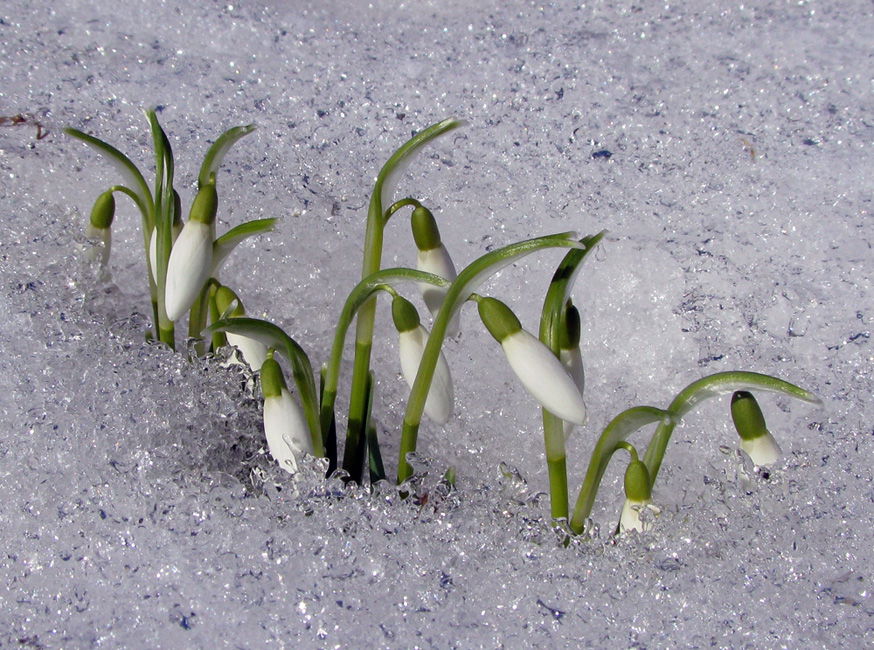 Анна Иванова