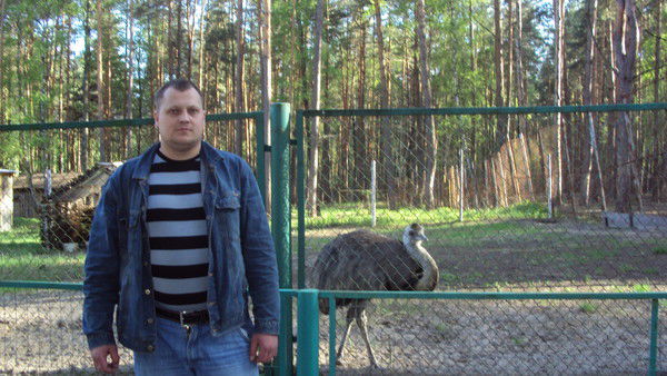 Роман Бологов