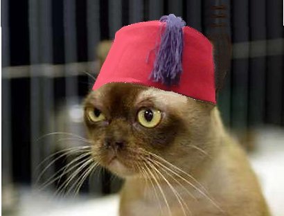 Виталий Кардаш