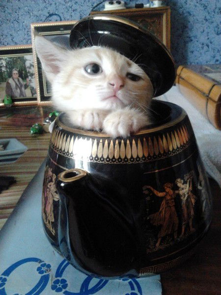 Марина Деревянченко