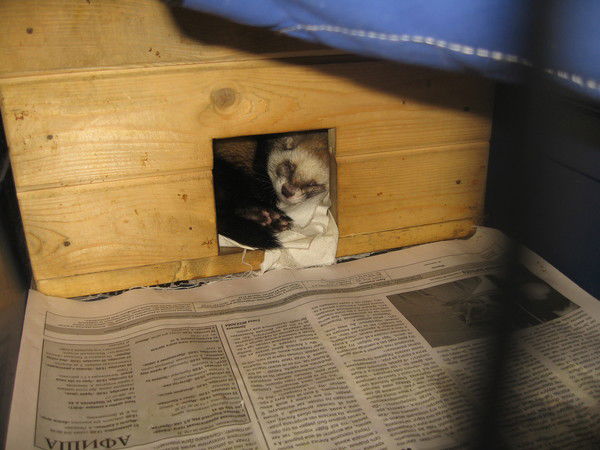 Никита Кропотов