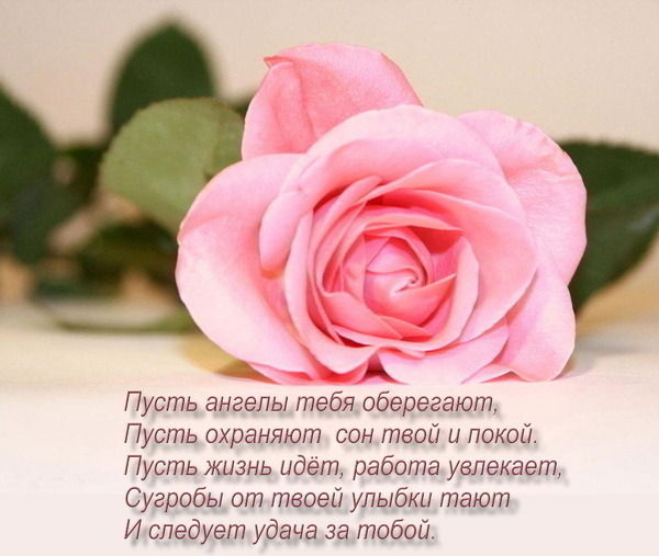 Жанна Жанна