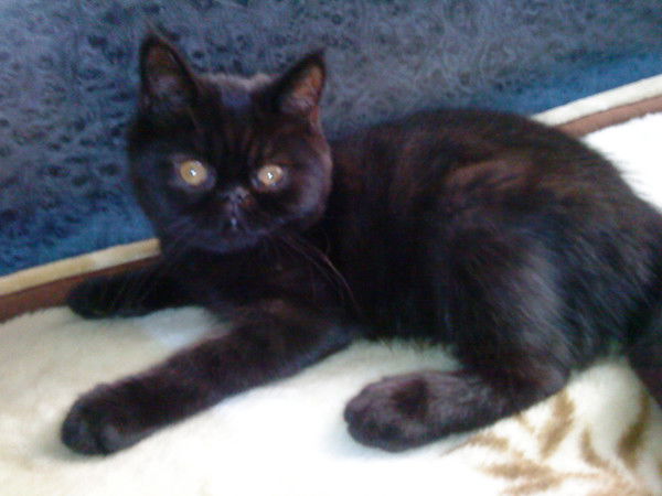 Оксана Никитина