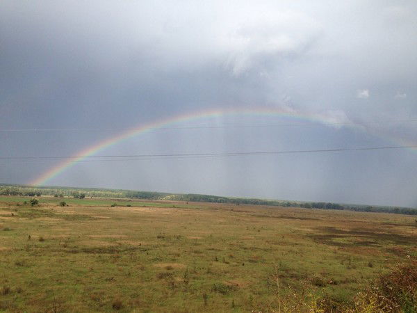 Анна Згоденко(Бегунова)