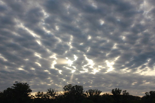 !!!(=Анютка Финагеева=))))