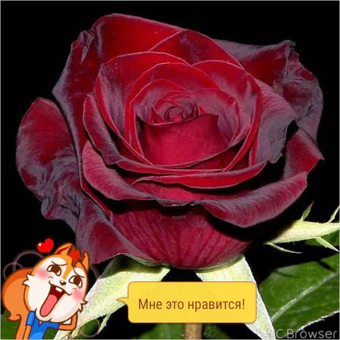 Валерий Онуприенко