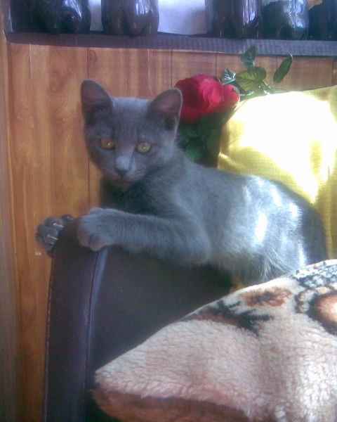 Виктор Редько