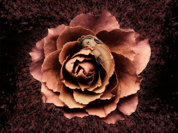 Светлана ......