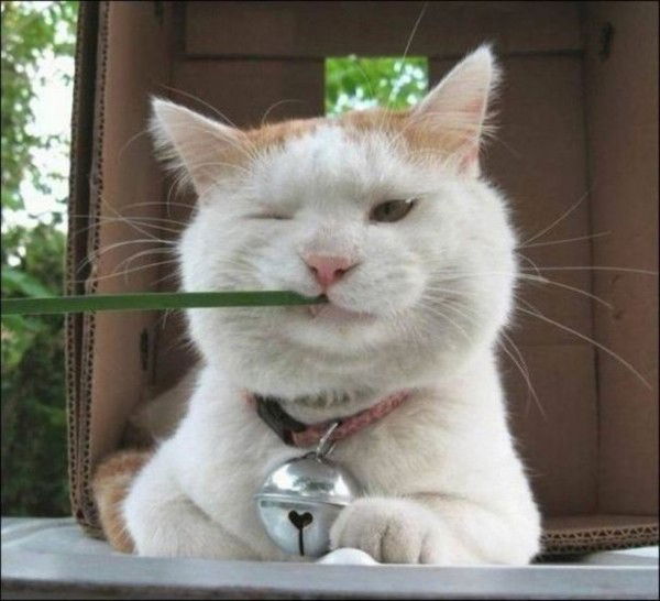 Валера Кузнецов