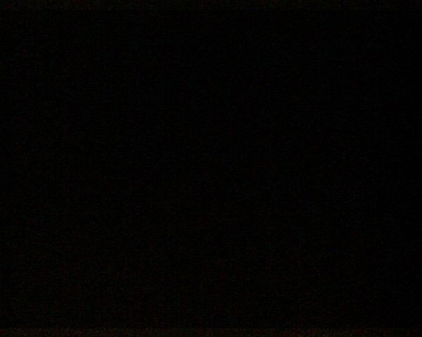 Дмитрий Дидрих