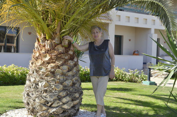 Алла Кузнецова