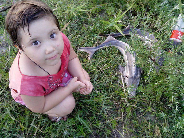 Евгений Шевченко