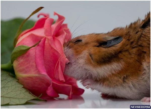 Татьяна Польшина