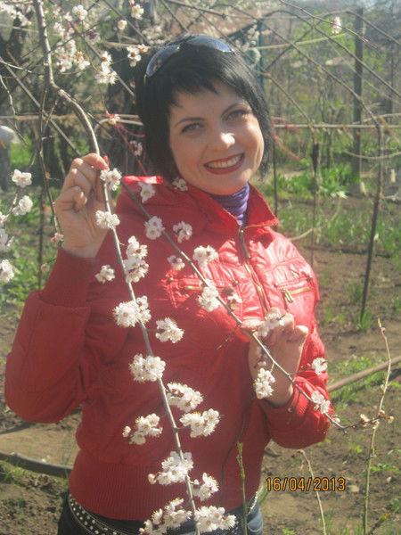 Елена Бессонная