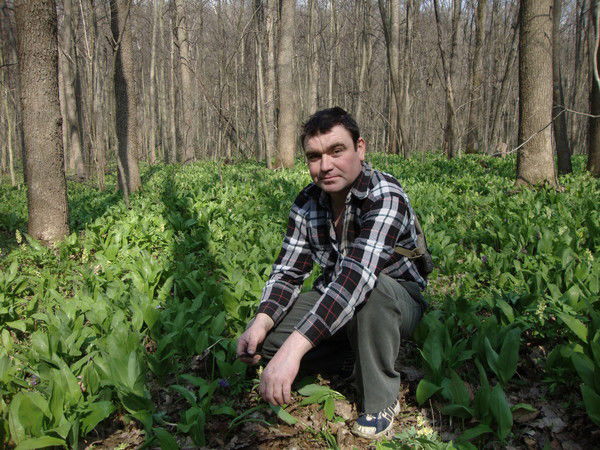 Владимир Гуленко