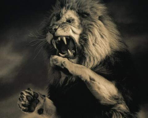 Энтино Дэнсито