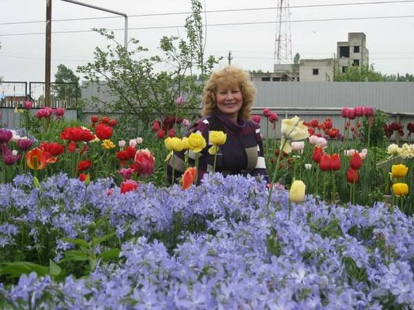 Любовь Николаева