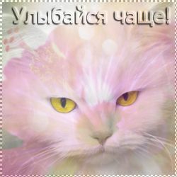 Лариса Стренина