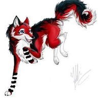 Настя Идрисова