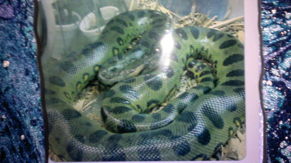 N((((((((((((((( (((((((((((((((