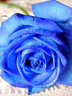 ____@@@@____ ____________S