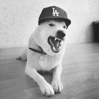 Ігор Винятинський