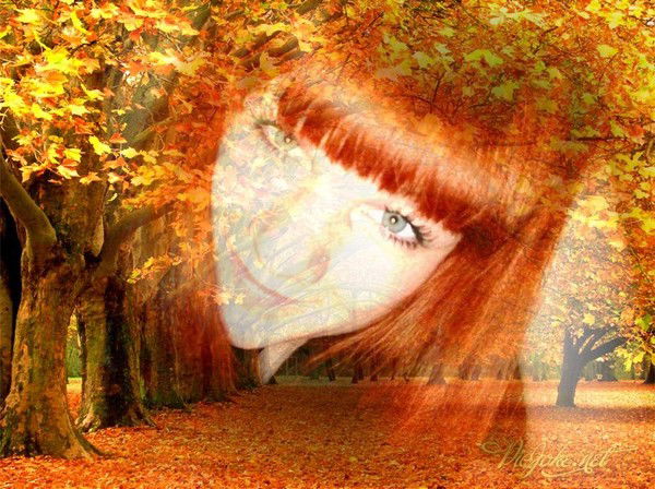 Надежда Полетаева