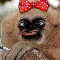 Андрей Петров