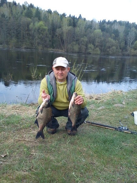 Сергей Лесько