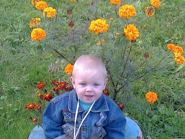 Николай Паламарчук