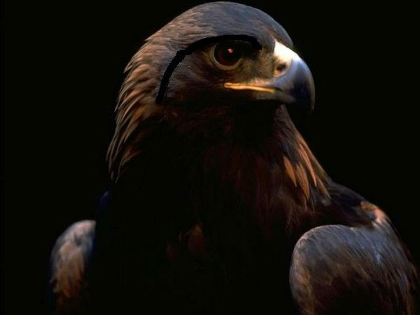 Серик Омархан