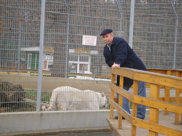 Анатолий Малёваный