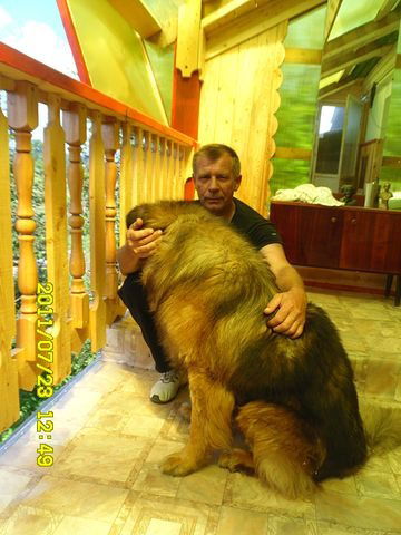 Анатолий Восточный