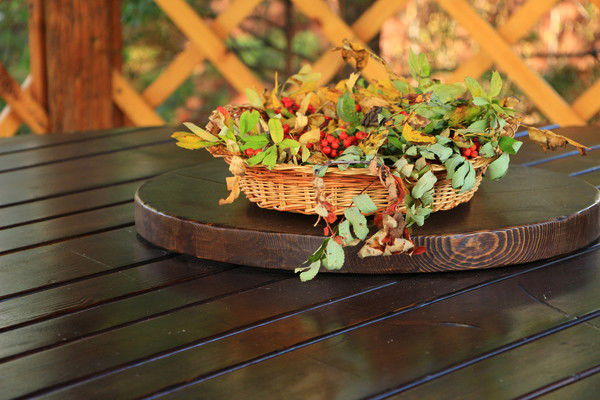 Надежда Белова