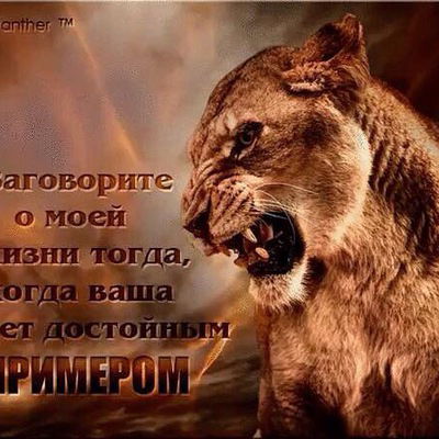 Владислав Черемисин