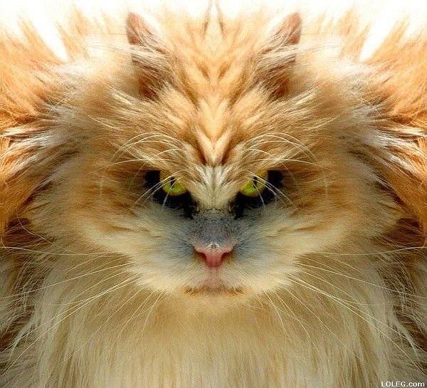 Сергей Ситников