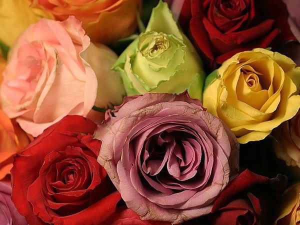 Бибинур Бекмулдина