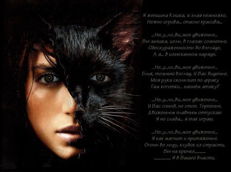 Елена Майбородина