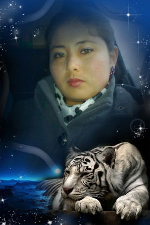 Жаныл Дауытказы