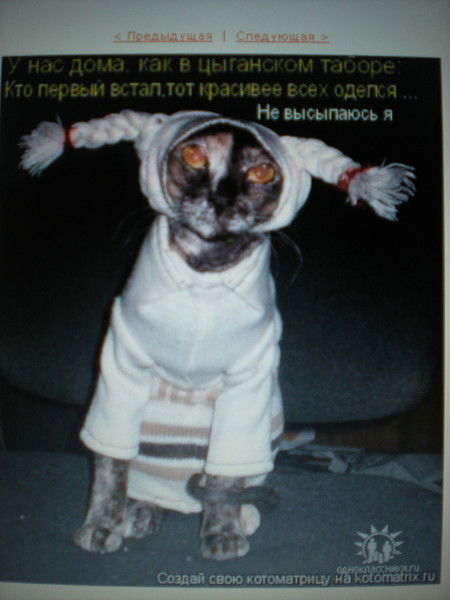 Зиновьев Дмитрий