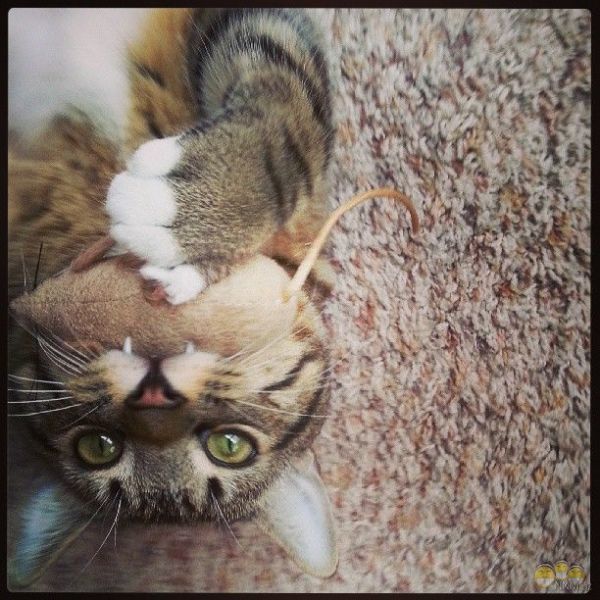 Александра Пинькова